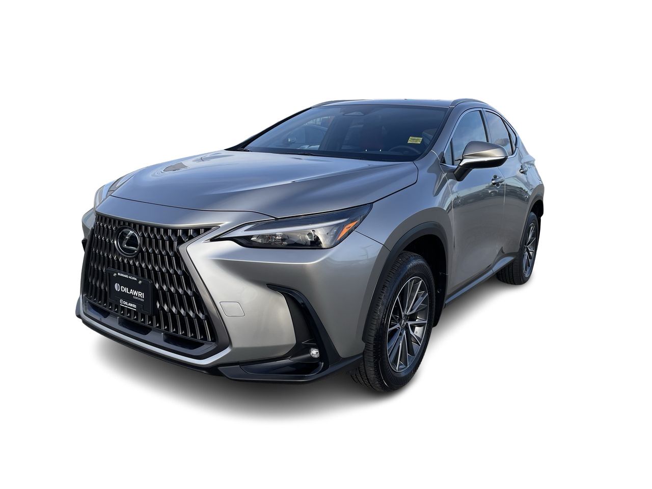 2025 Lexus NX