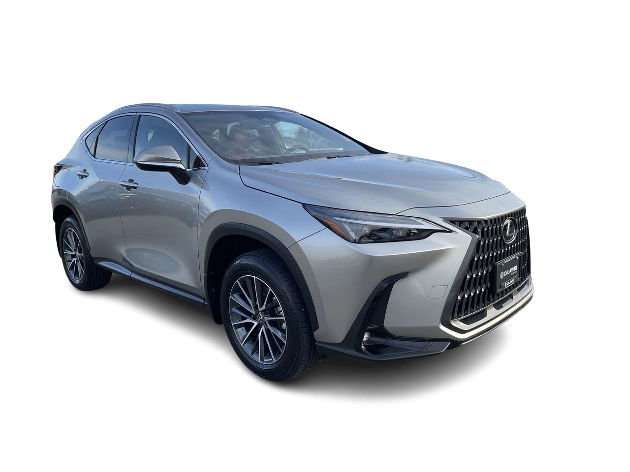 2025 Lexus NX