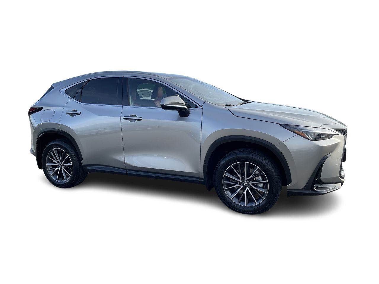 2025 Lexus NX