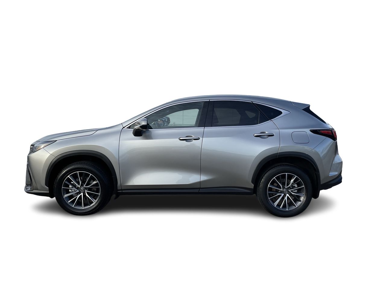 2025 Lexus NX