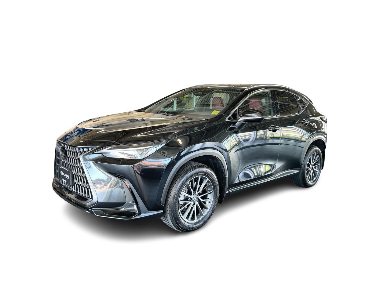 2025 Lexus NX