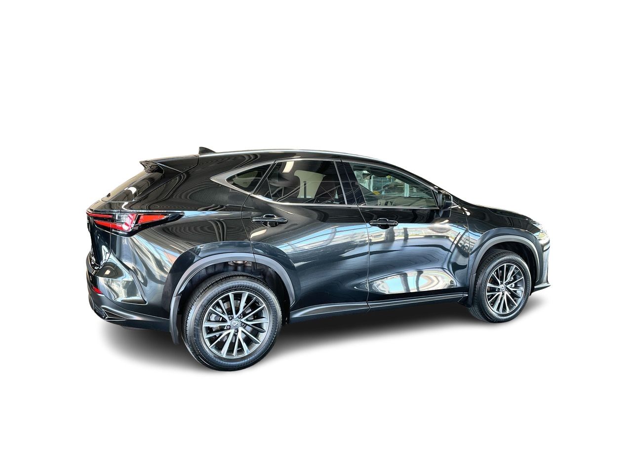 2025 Lexus NX