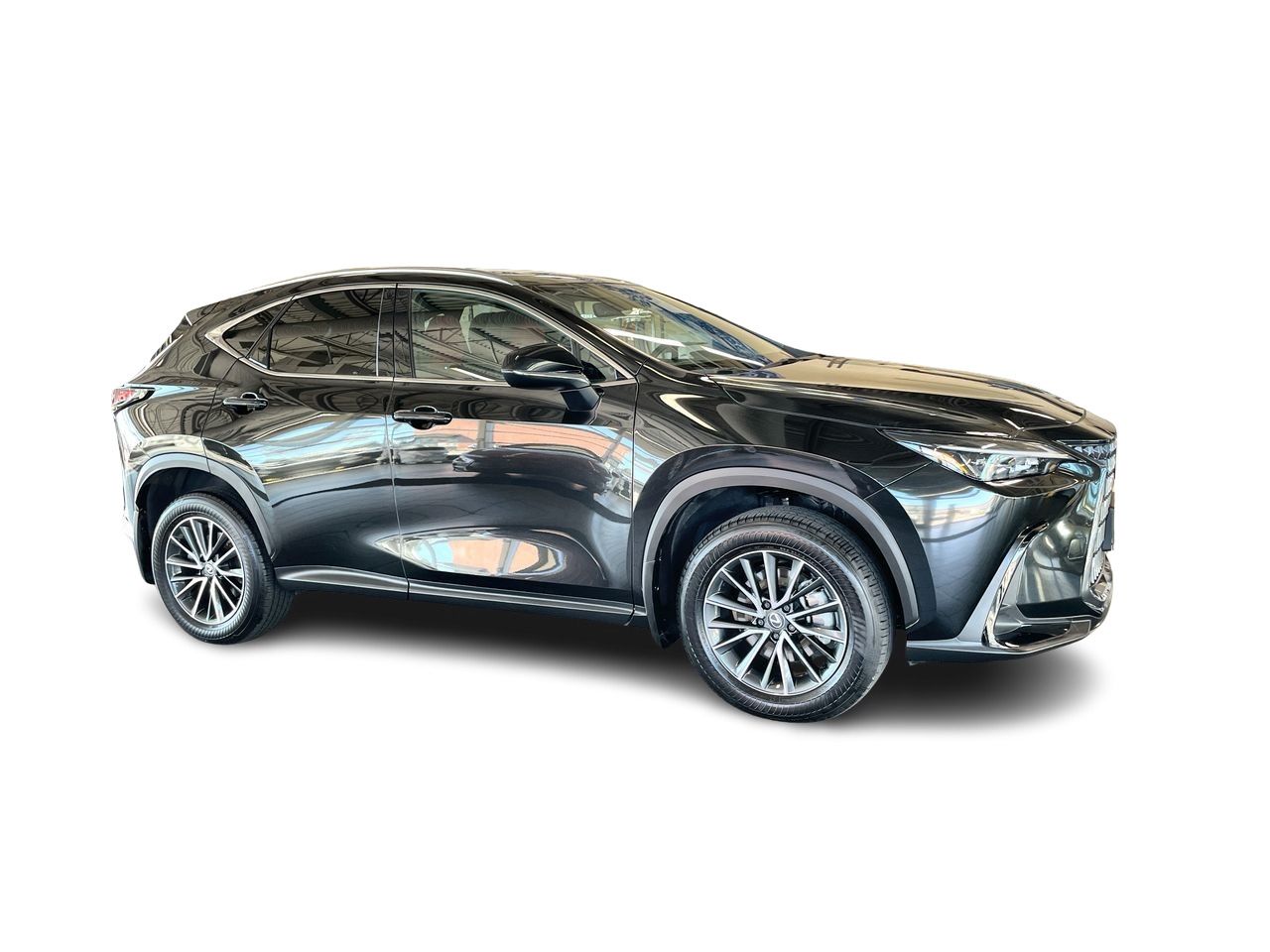 2025 Lexus NX