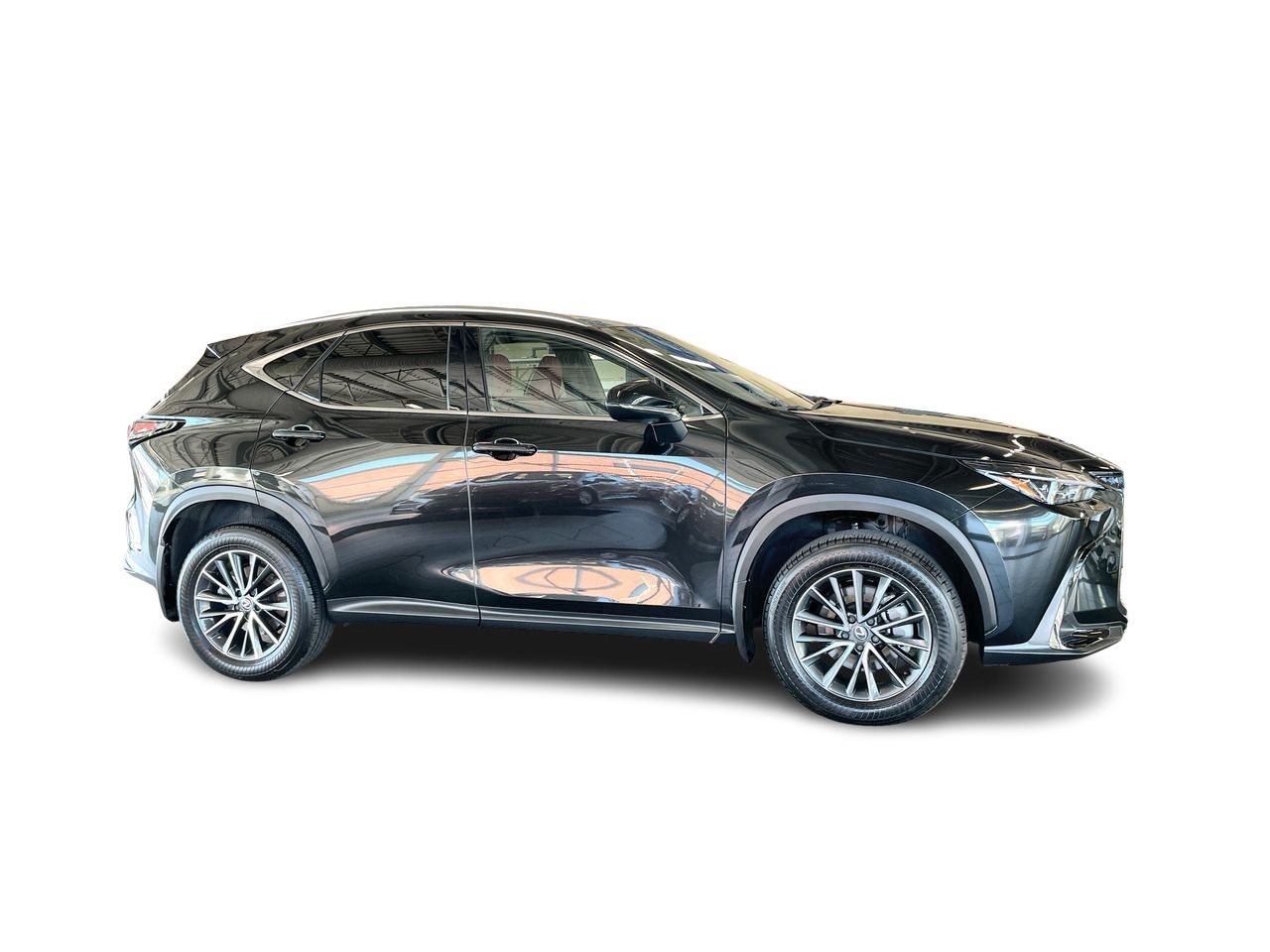 2025 Lexus NX