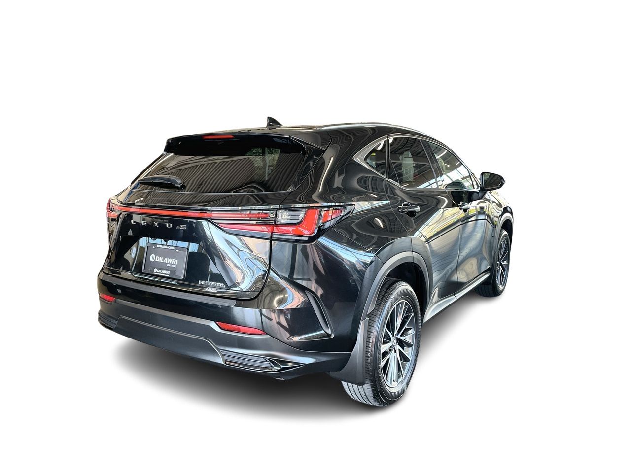 2025 Lexus NX