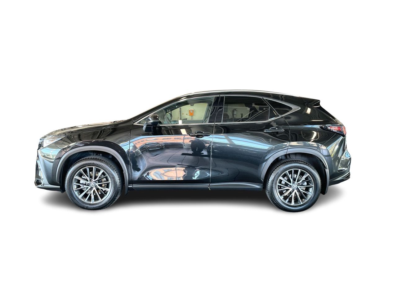 2025 Lexus NX