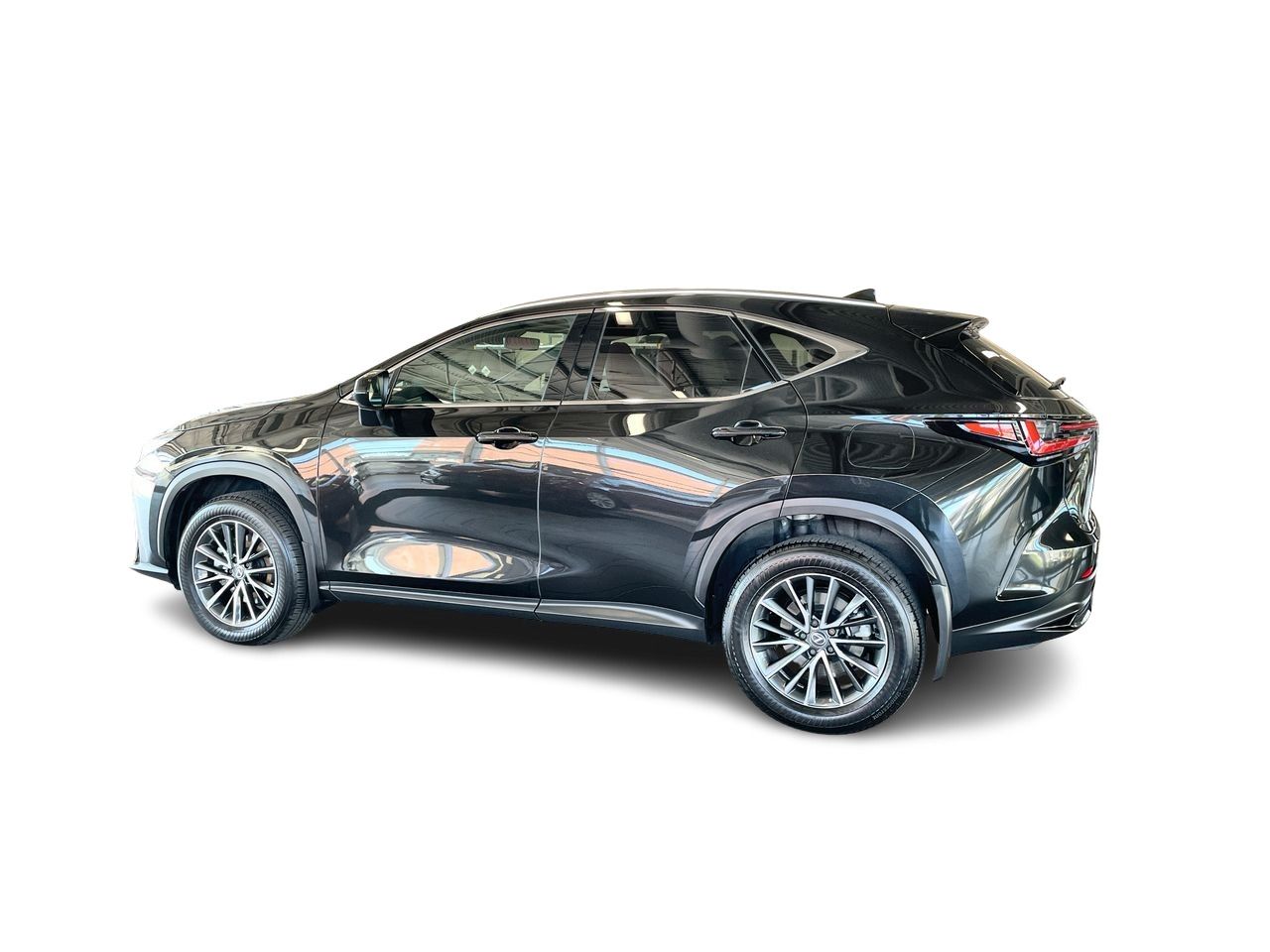 2025 Lexus NX