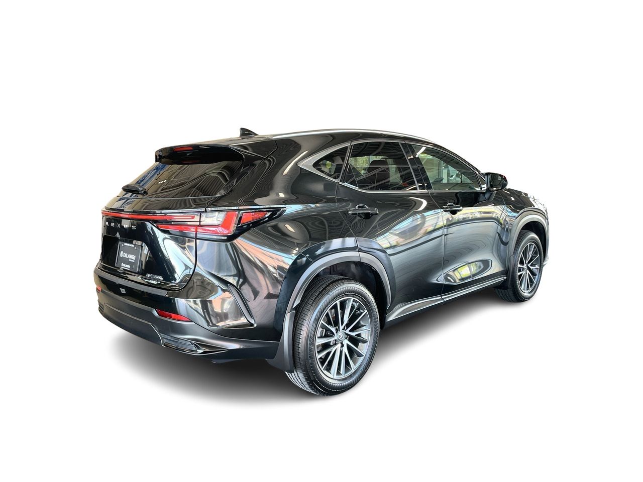 2025 Lexus NX