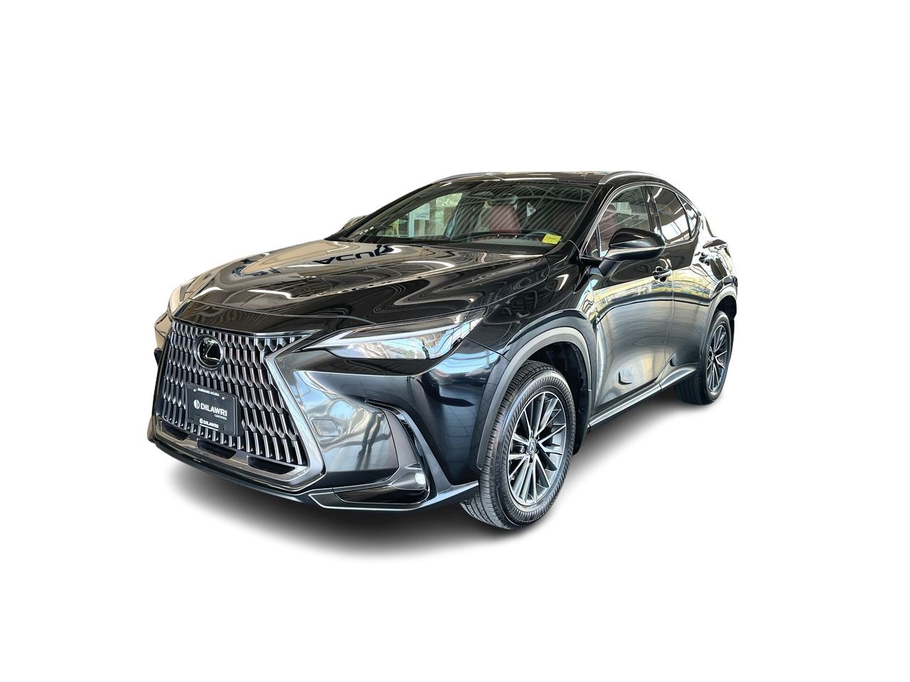 2025 Lexus NX