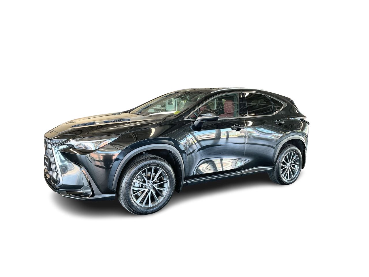 2025 Lexus NX