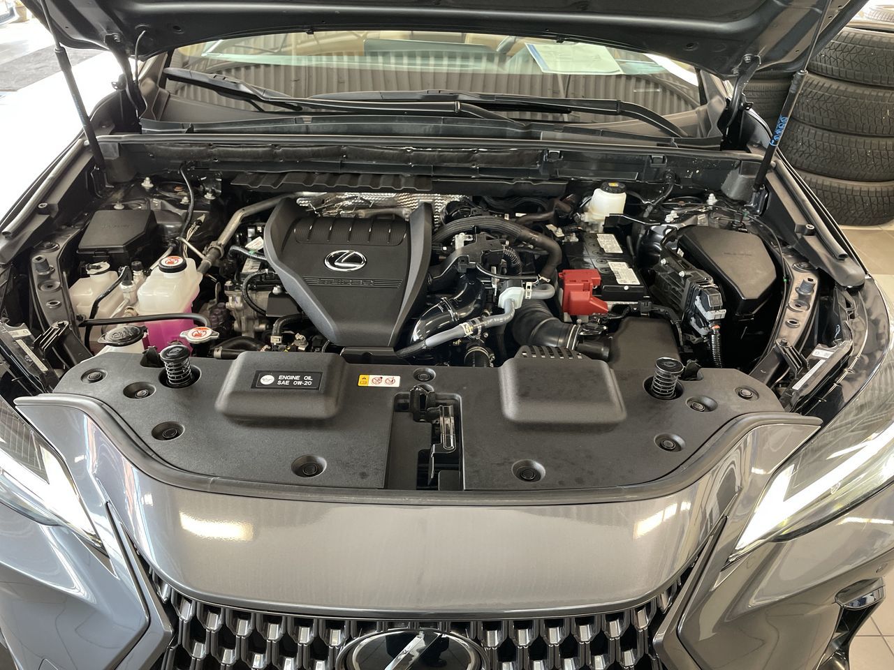 2025 Lexus NX