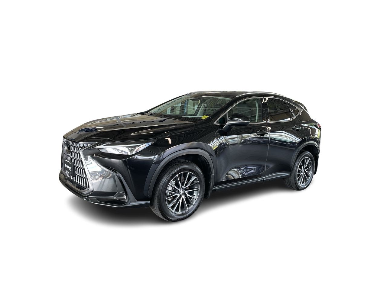 2025 Lexus NX