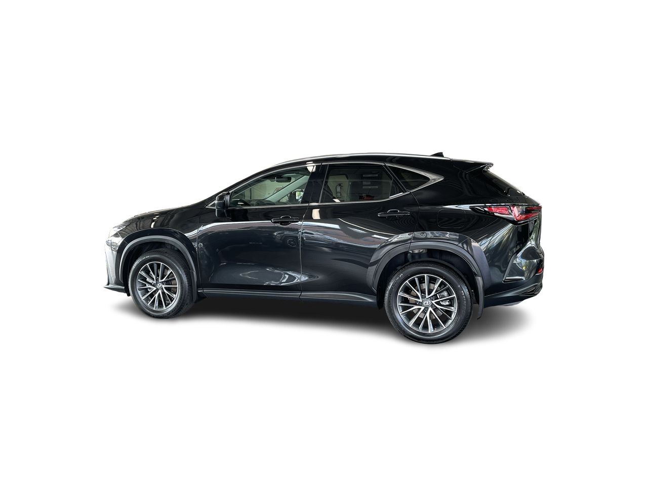 2025 Lexus NX