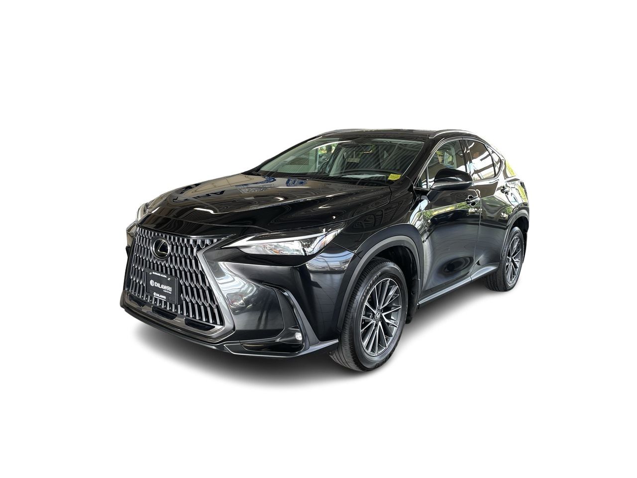 2025 Lexus NX