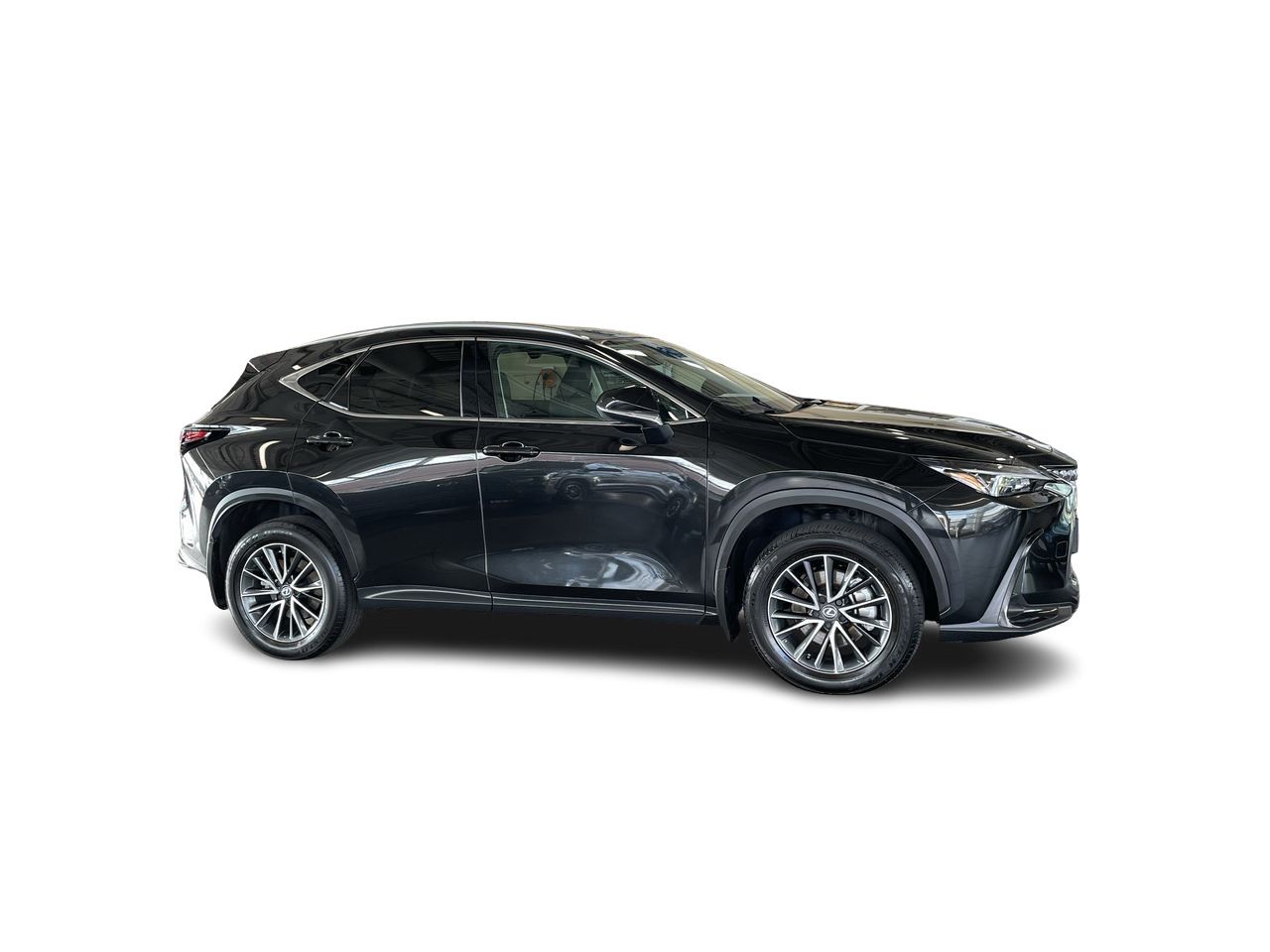 2025 Lexus NX
