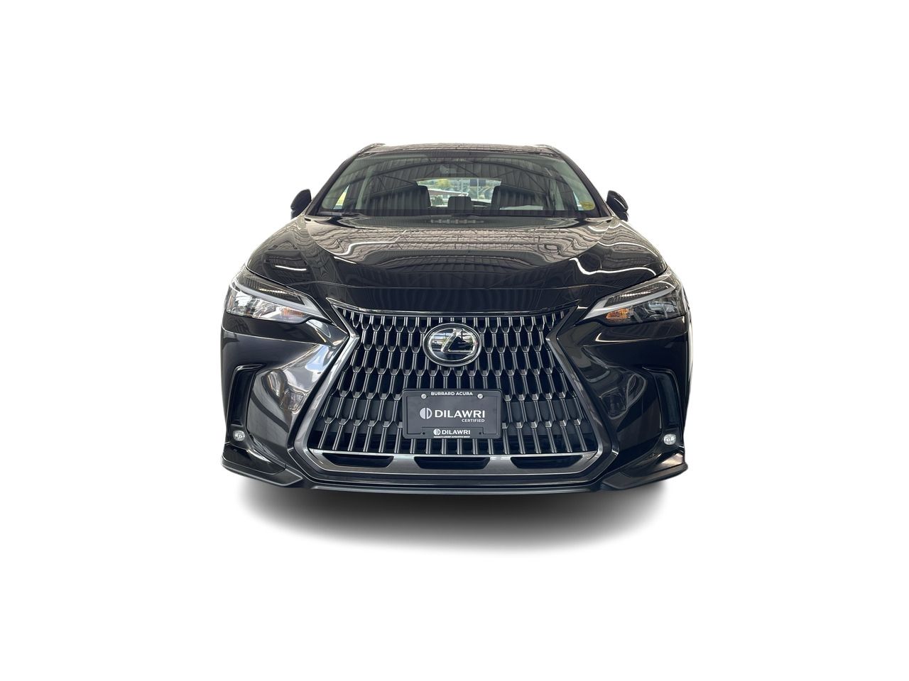 2025 Lexus NX