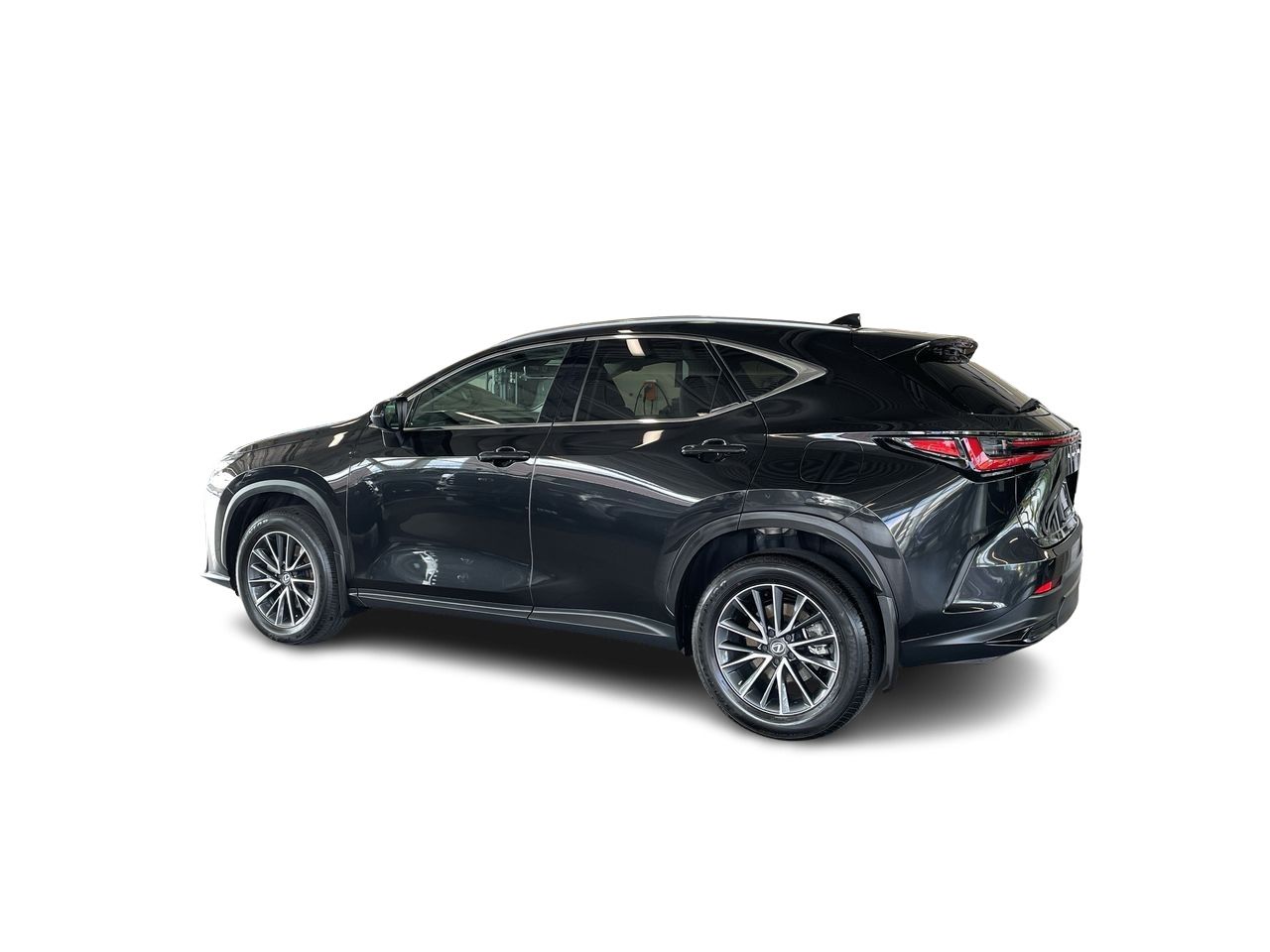 2025 Lexus NX