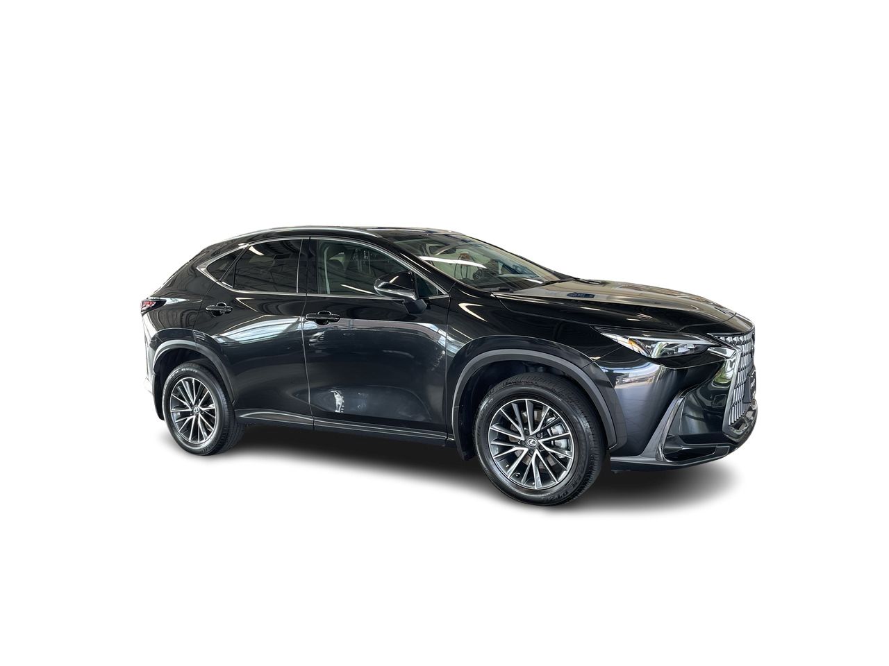 2025 Lexus NX