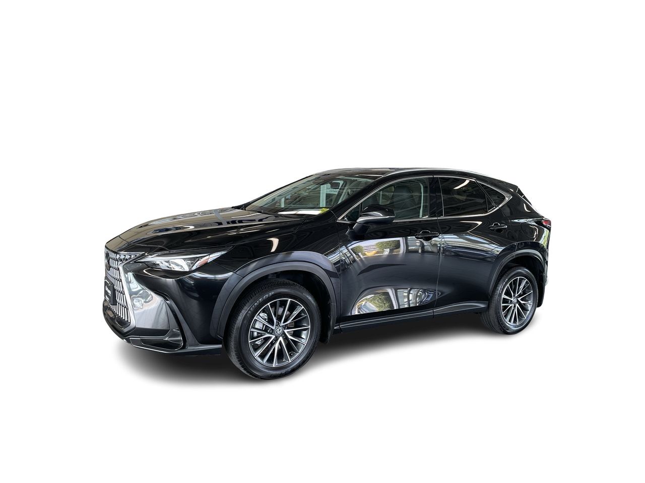 2025 Lexus NX