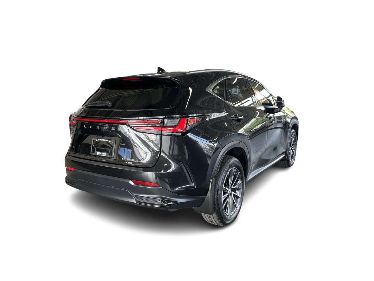 2025 Lexus NX