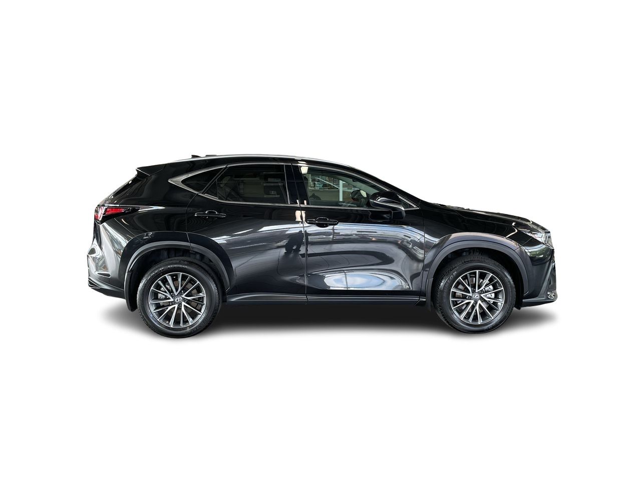 2025 Lexus NX