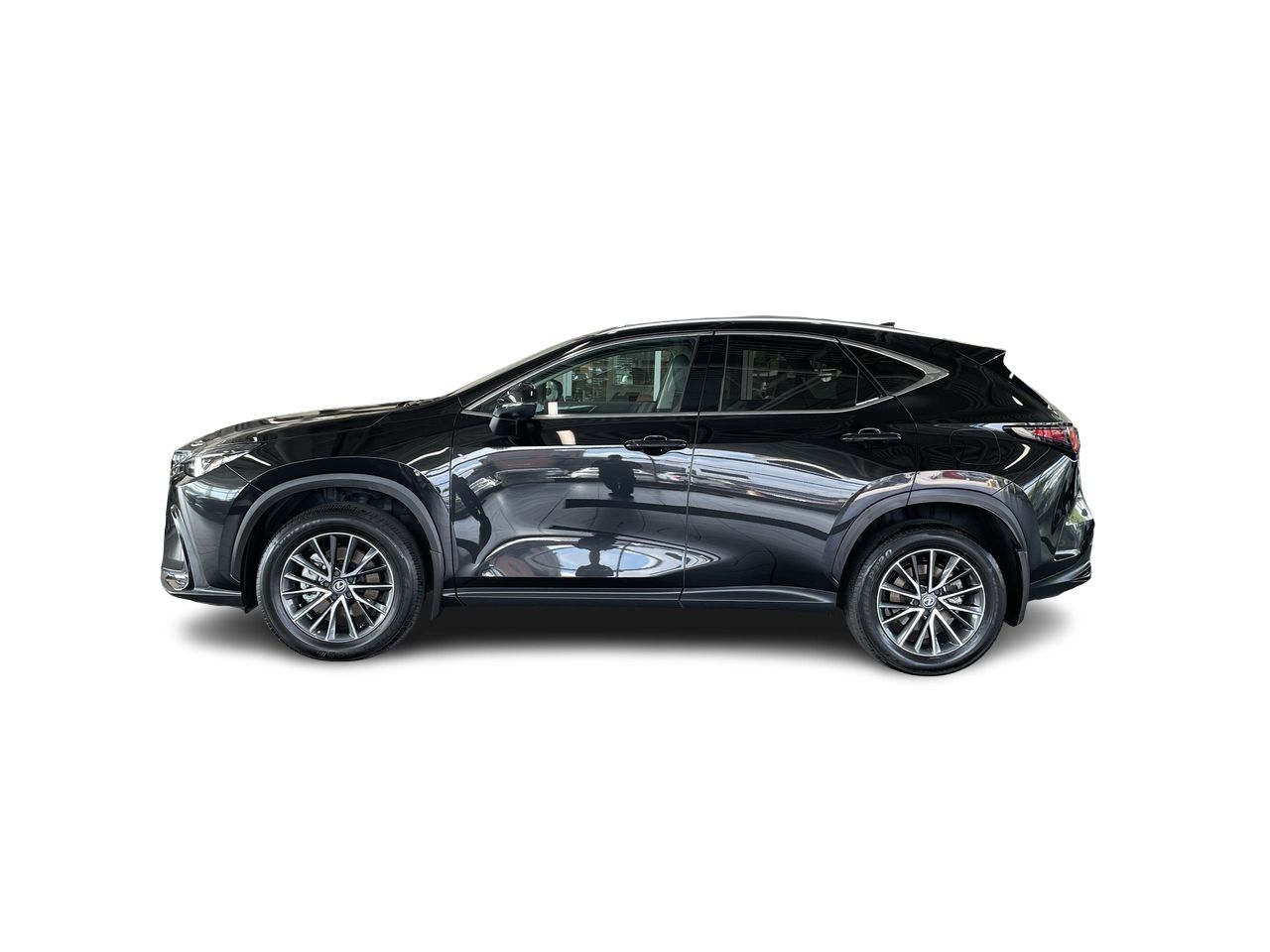 2025 Lexus NX
