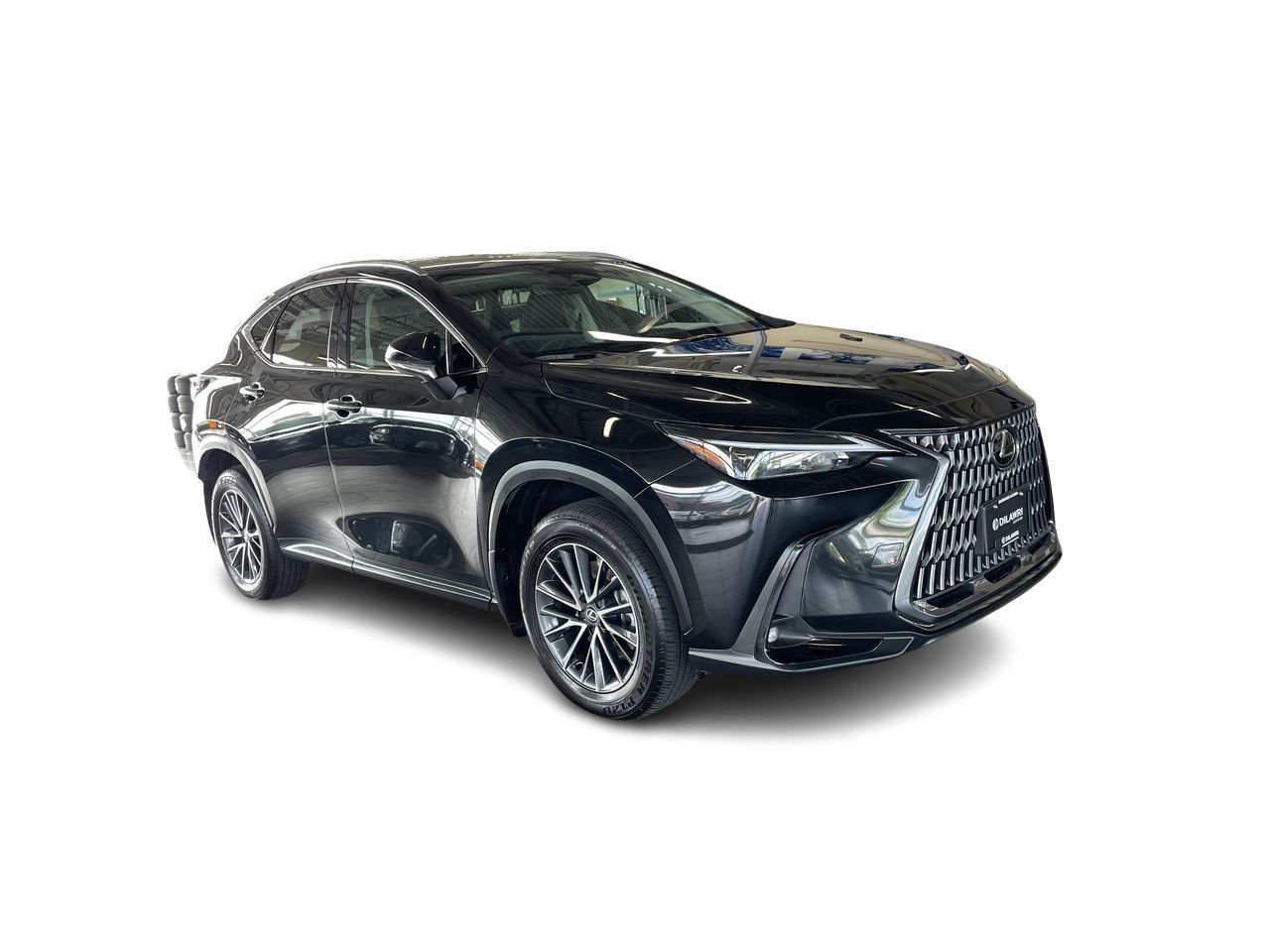2025 Lexus NX