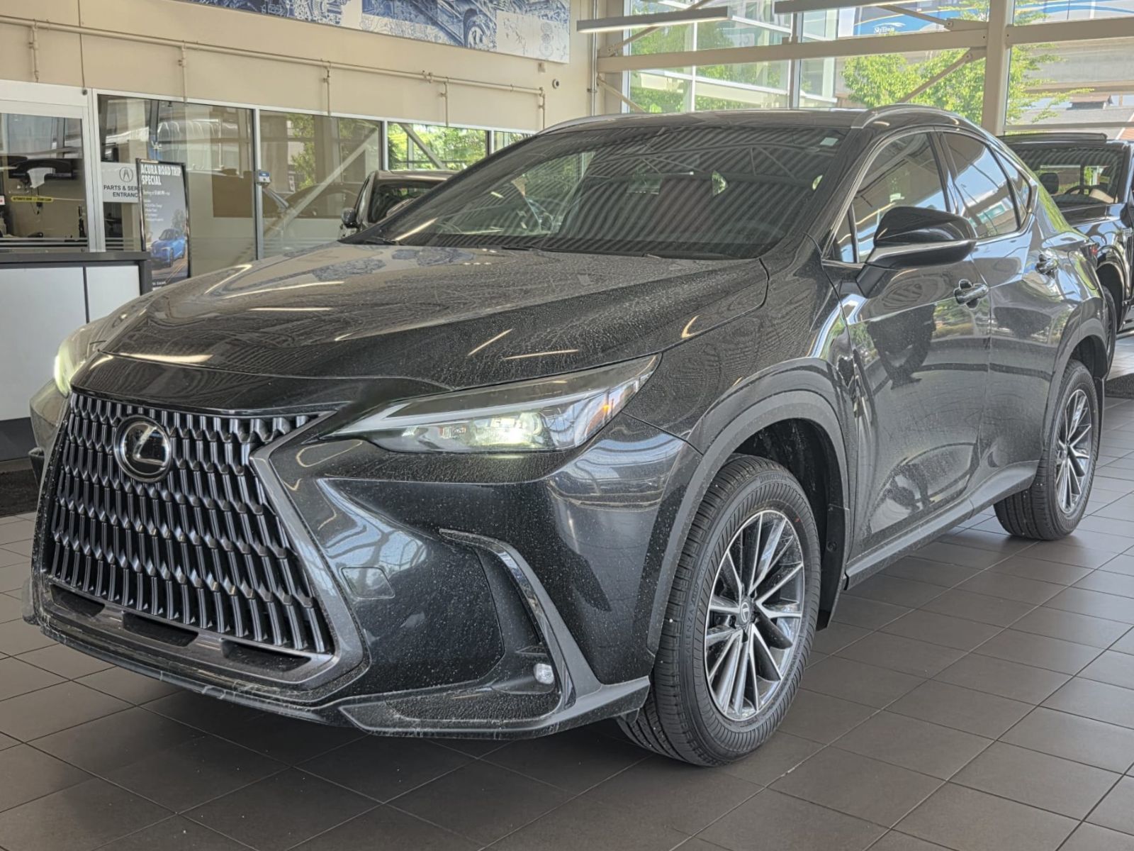 2026 Lexus NX