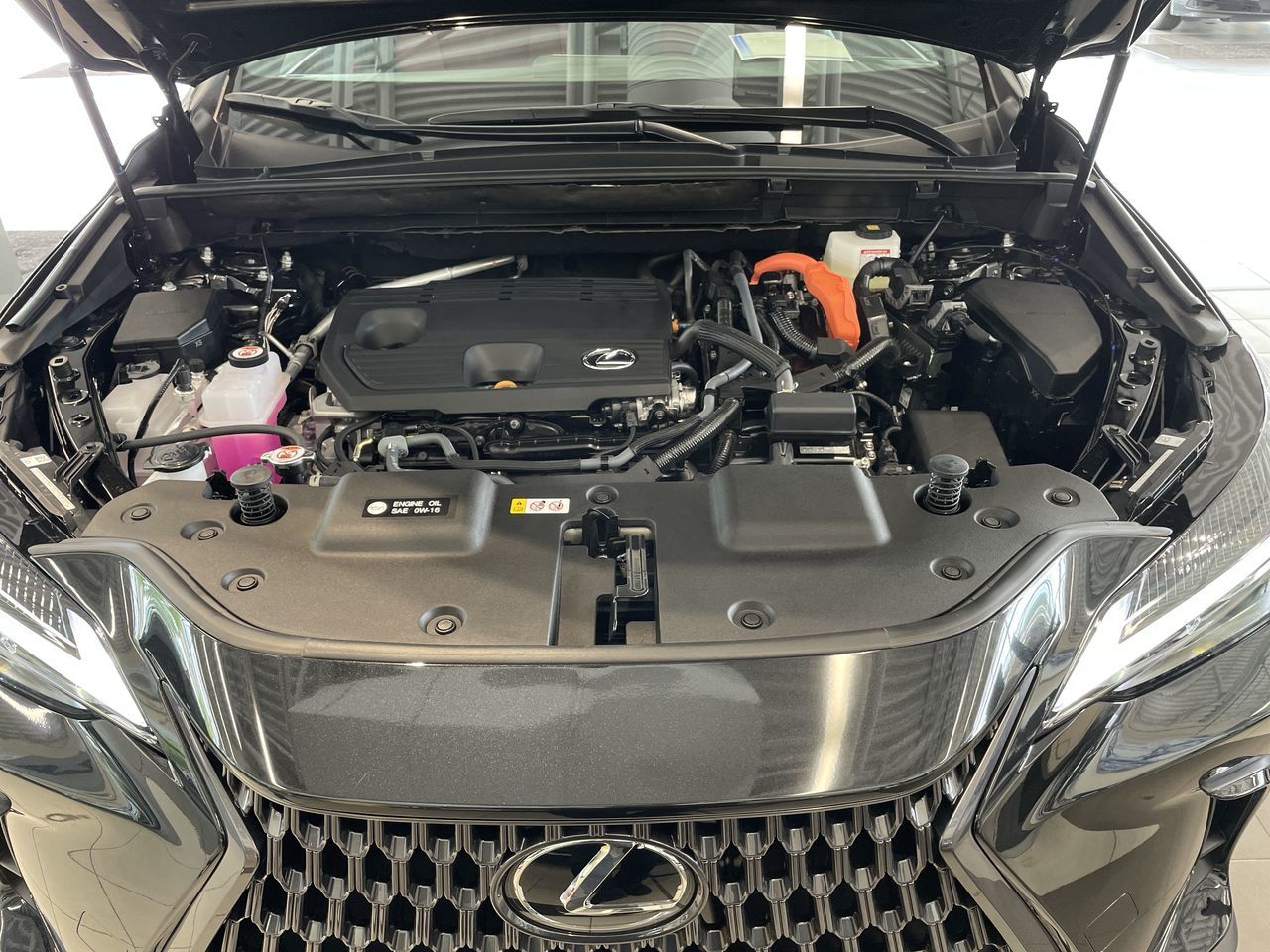 2026 Lexus NX