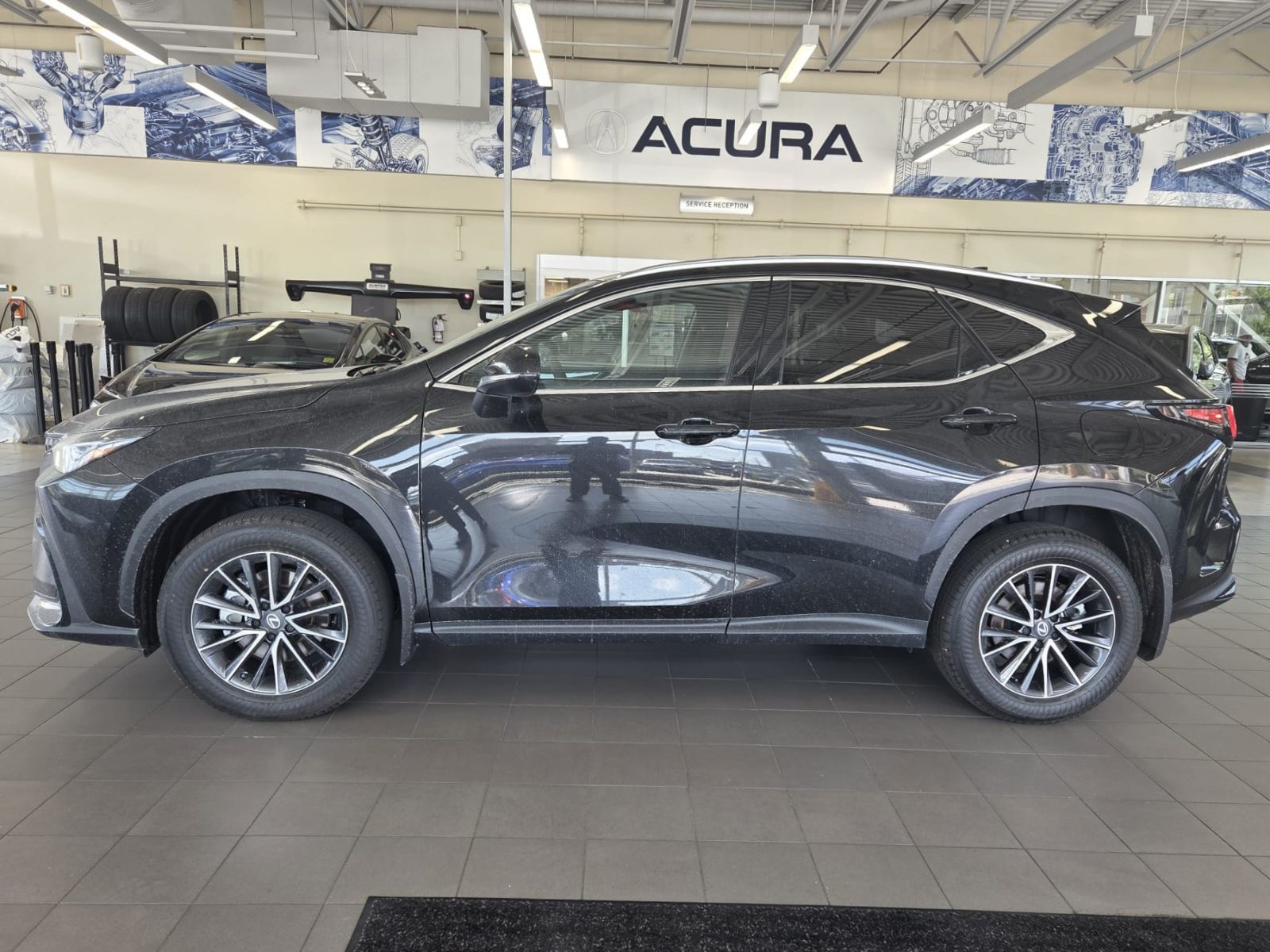 2026 Lexus NX