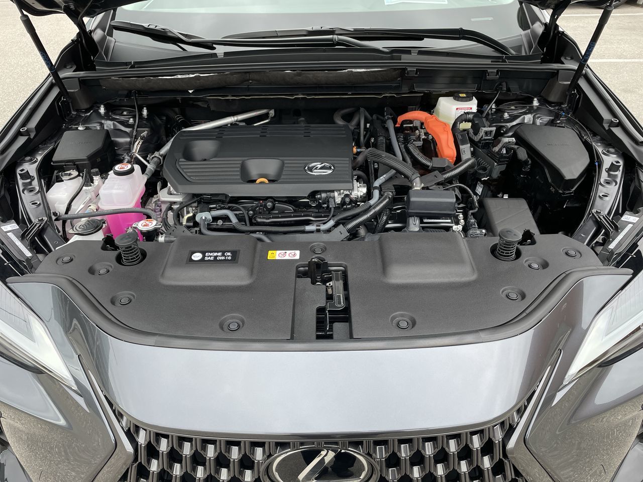2026 Lexus NX