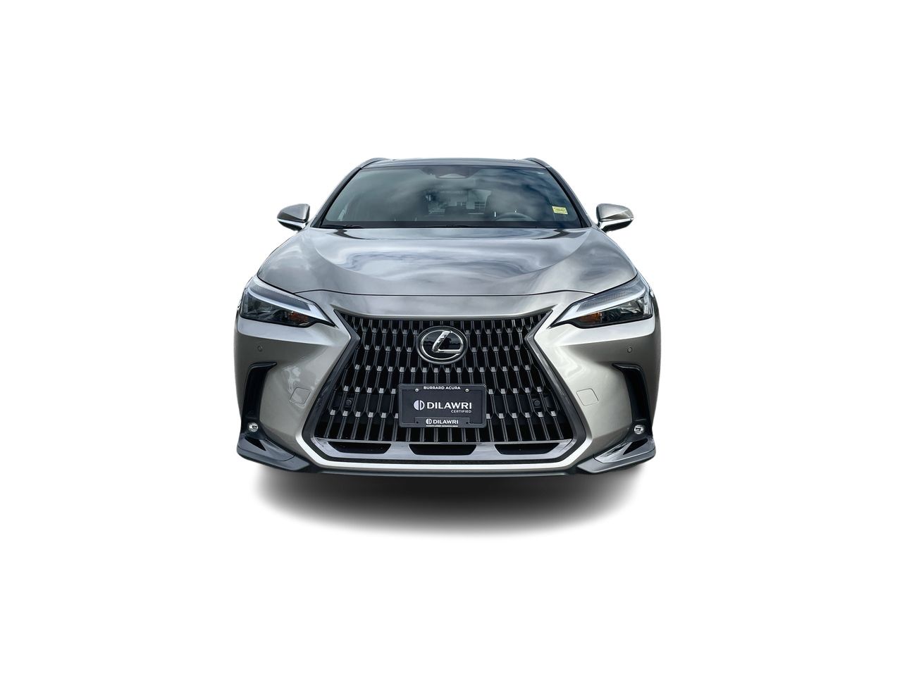 2022 Lexus NXh