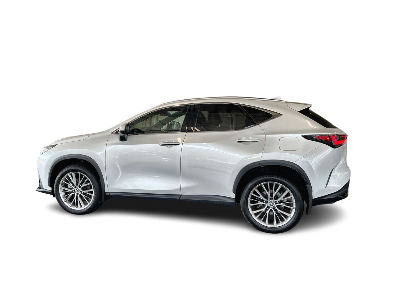 2024  NX