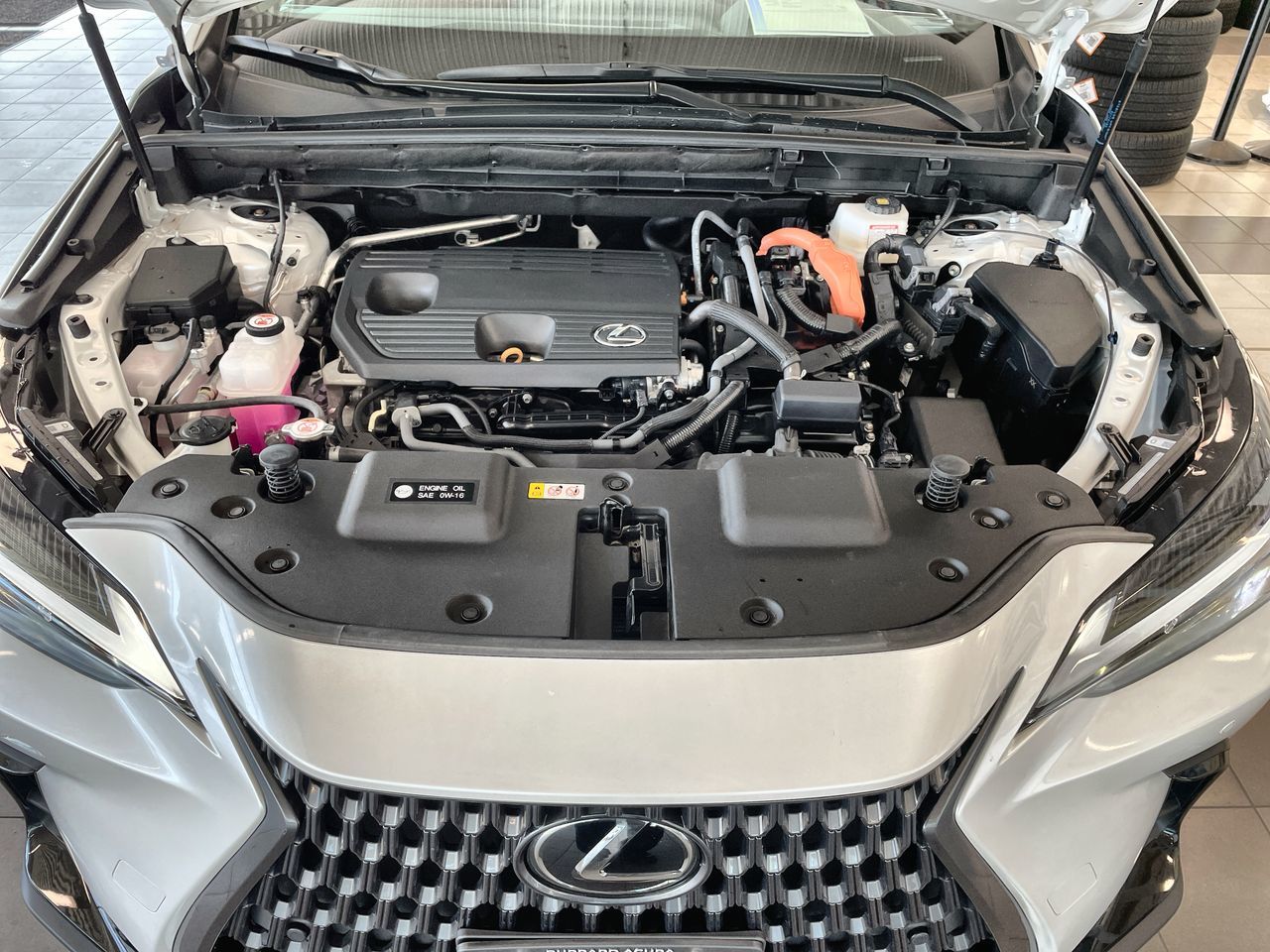 2024  NX