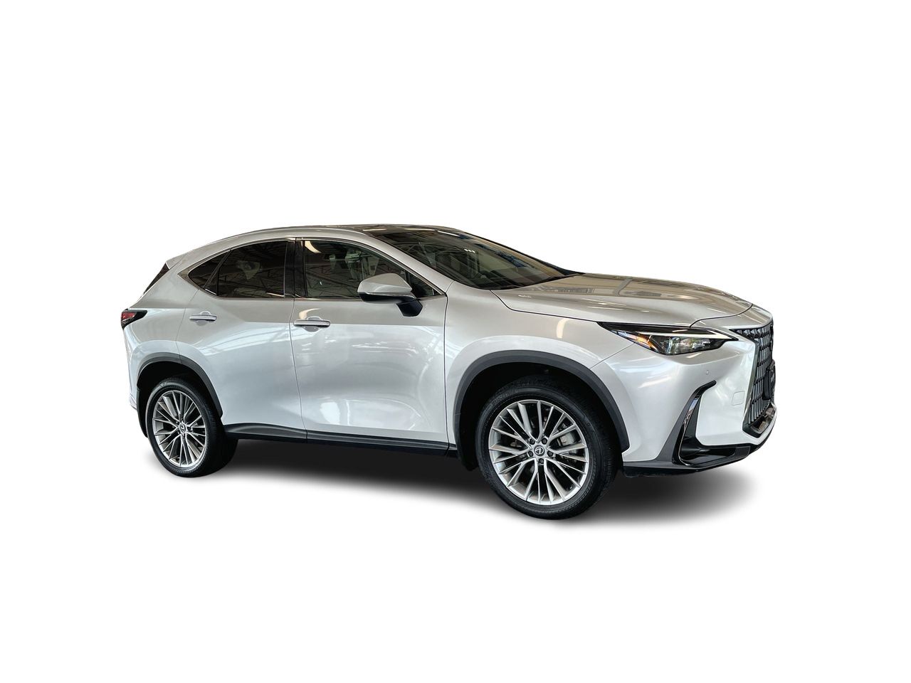 2024  NX