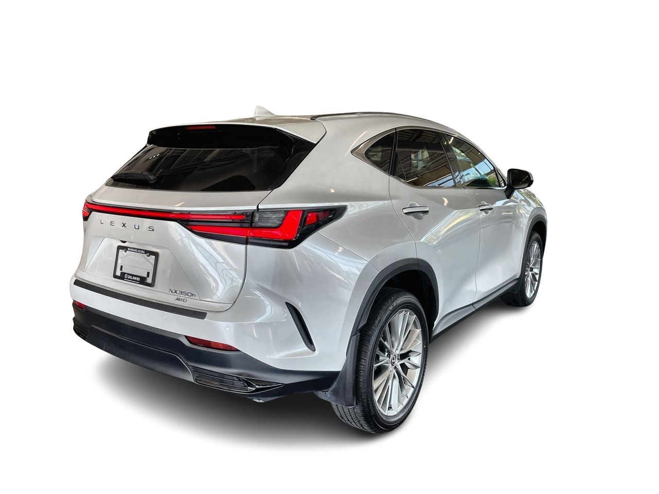 2024  NX