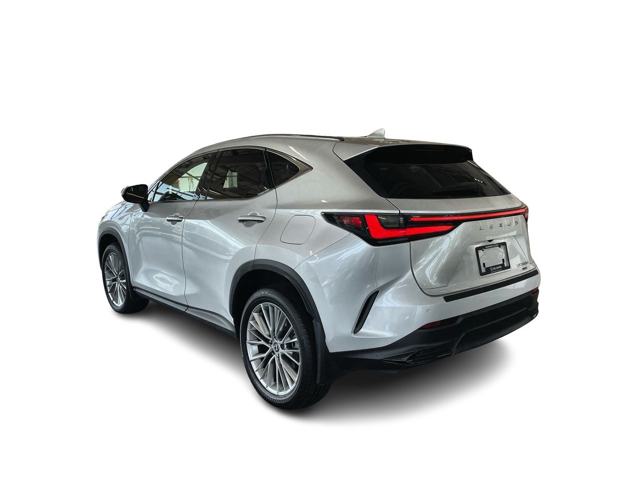 2024  NX