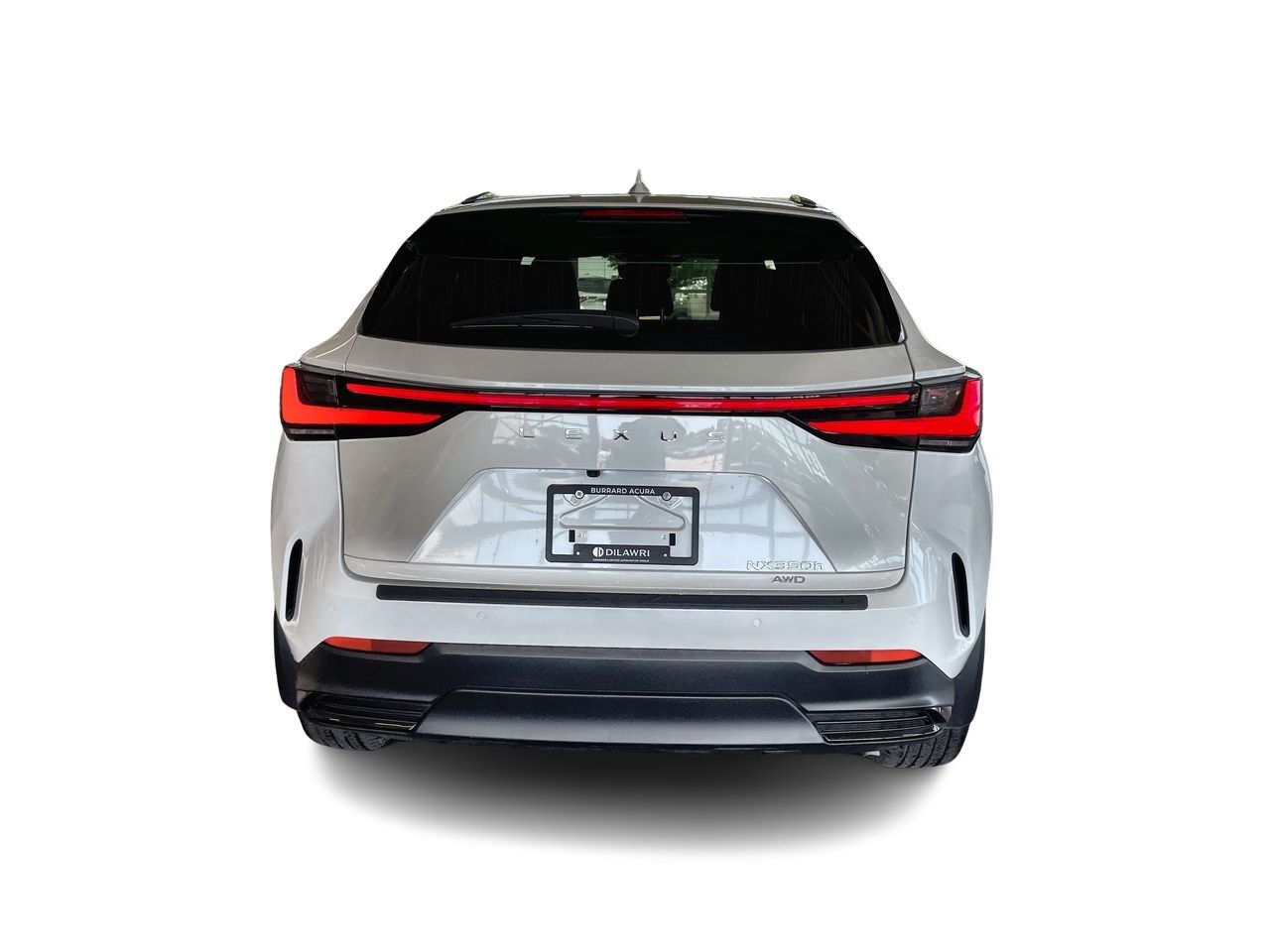 2024  NX