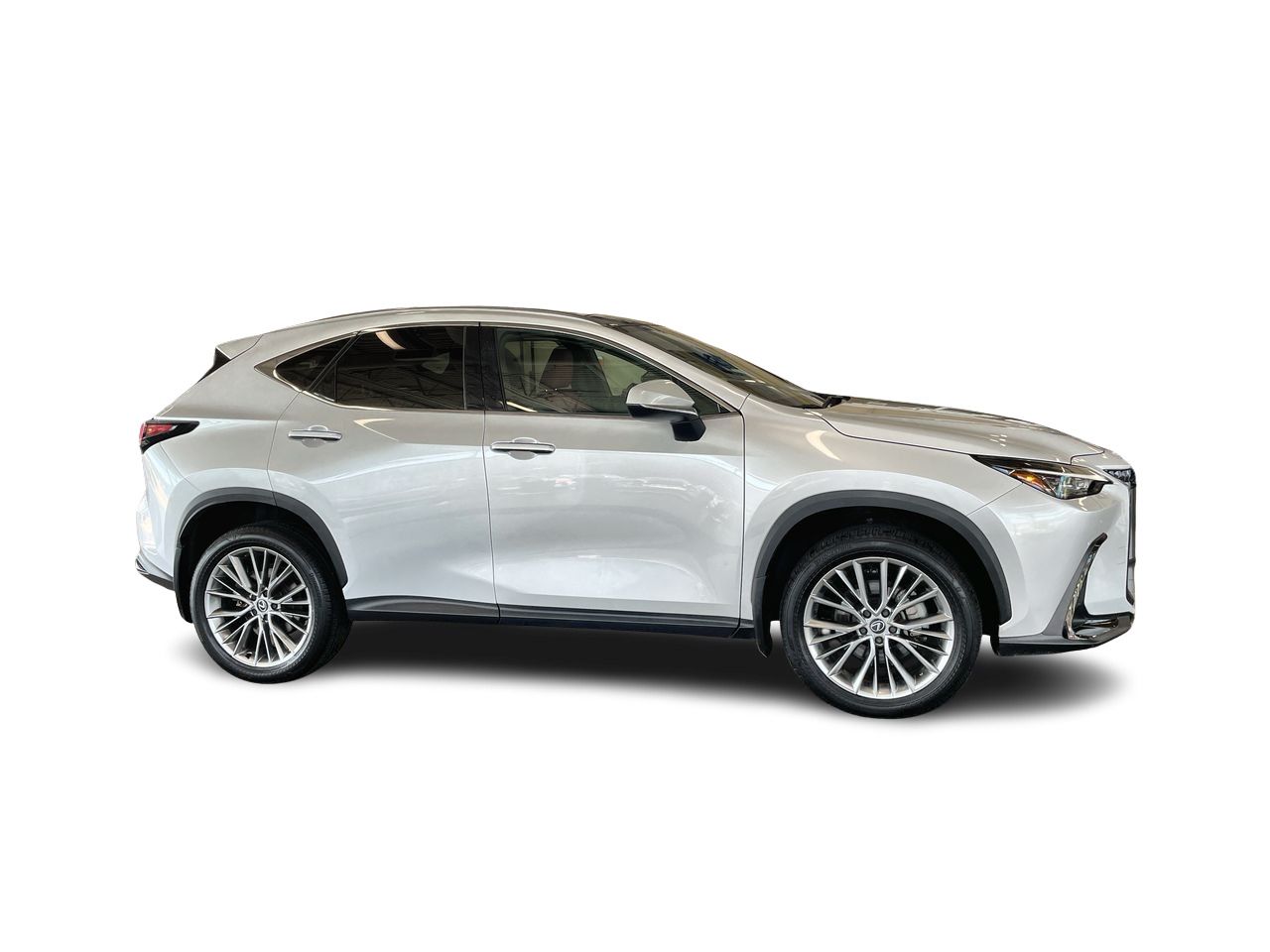2024  NX