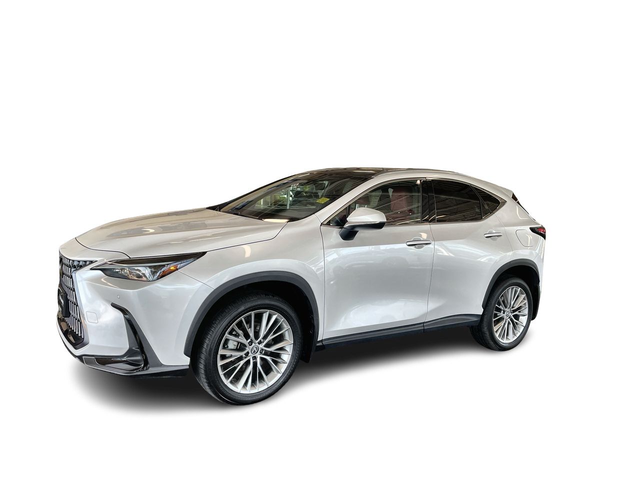 2024  NX