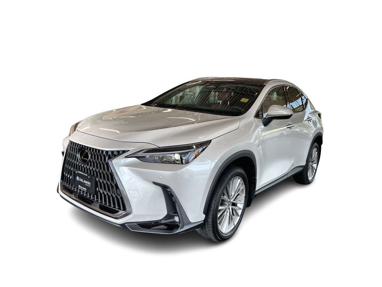 2024  NX