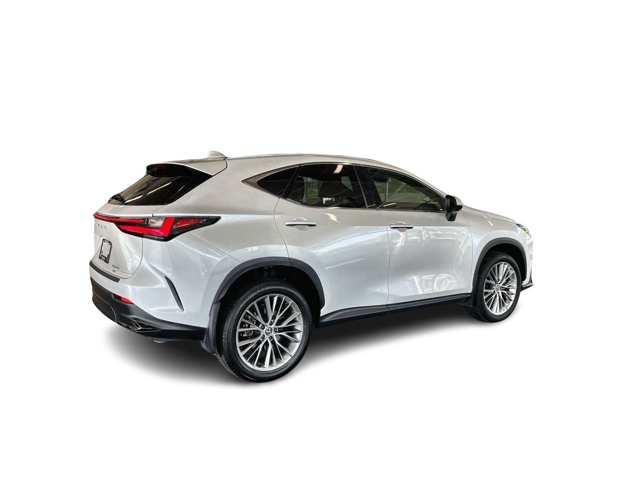 2024  NX