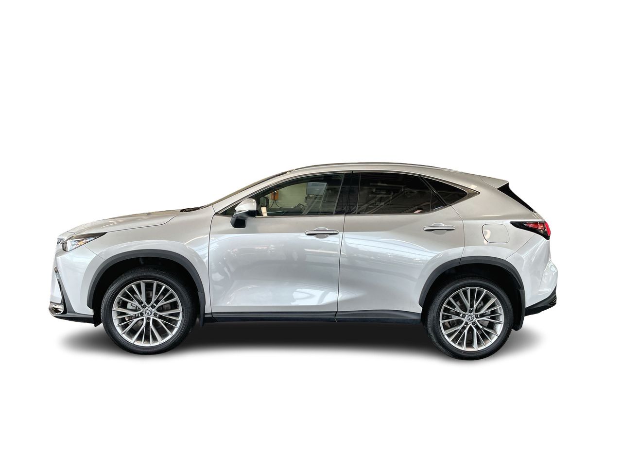 2024  NX