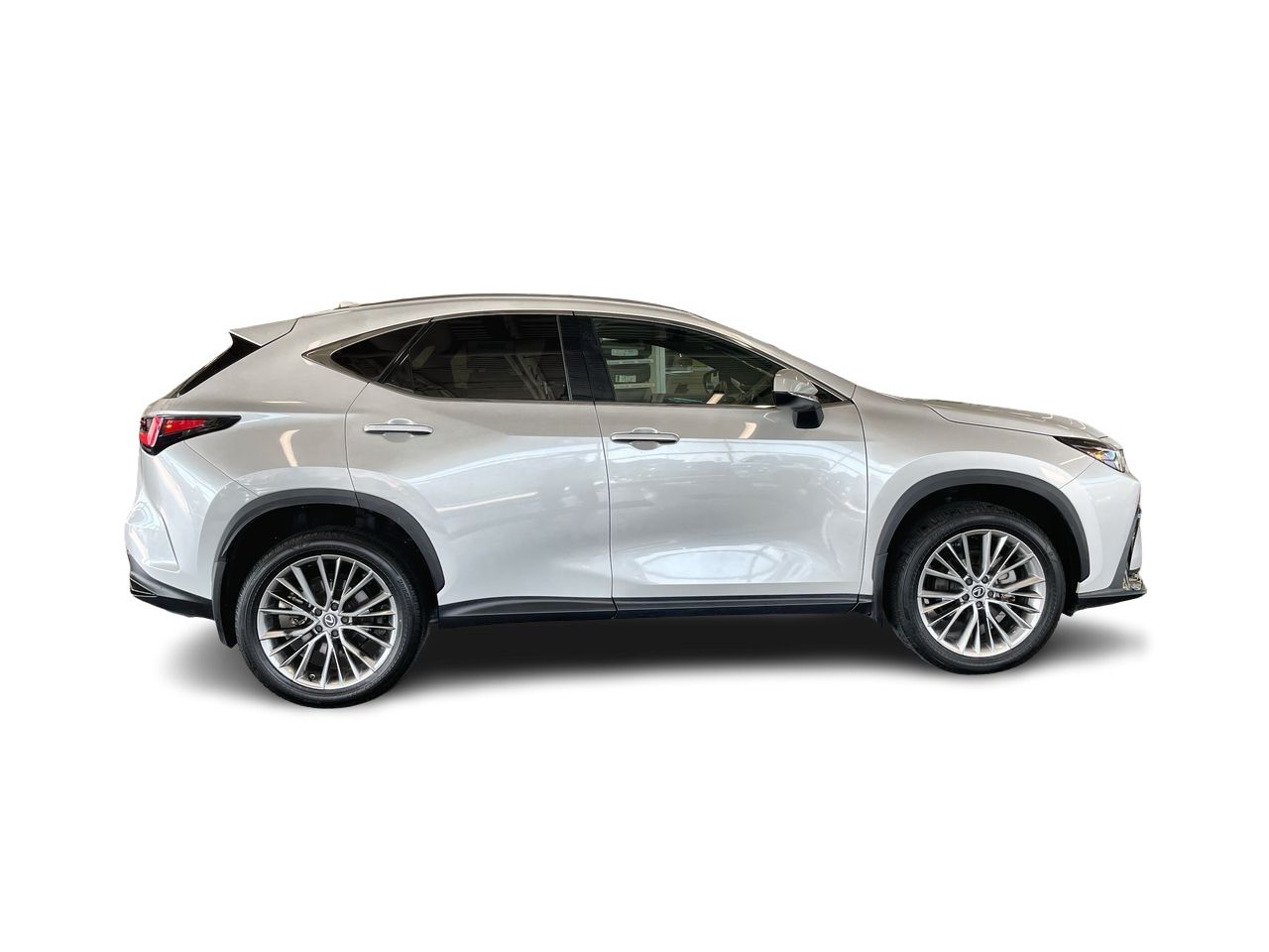 2024  NX