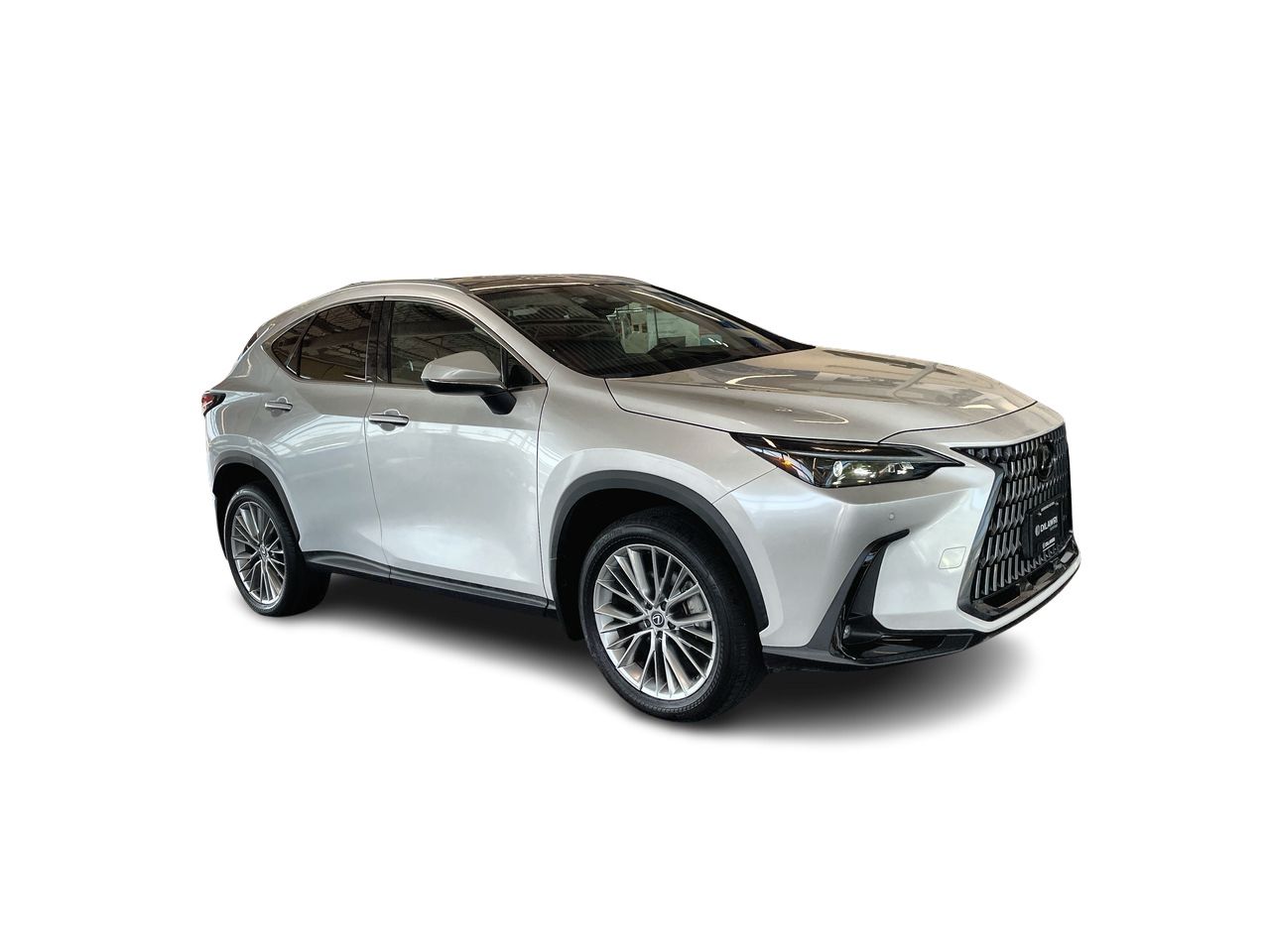 2024  NX