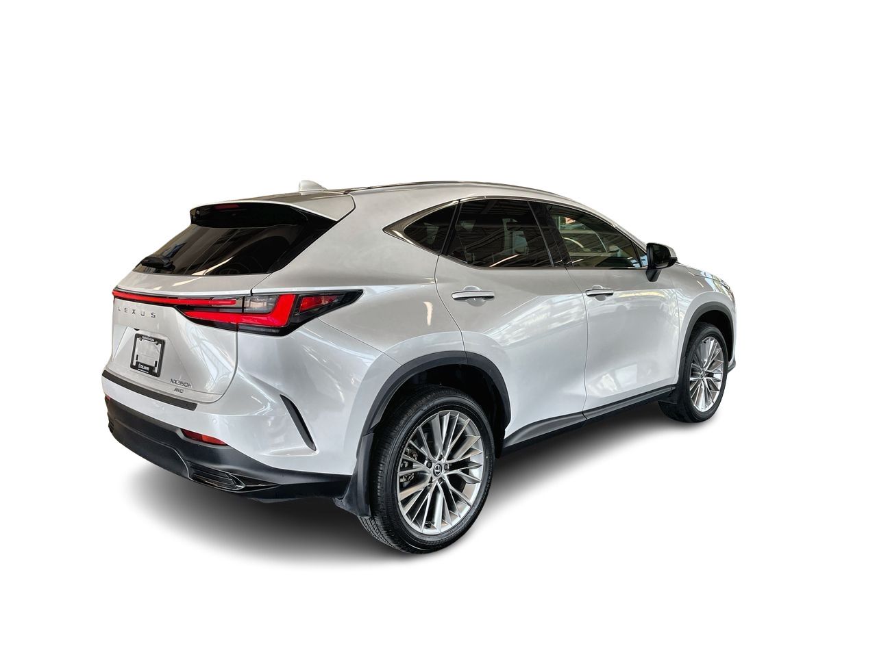 2024  NX