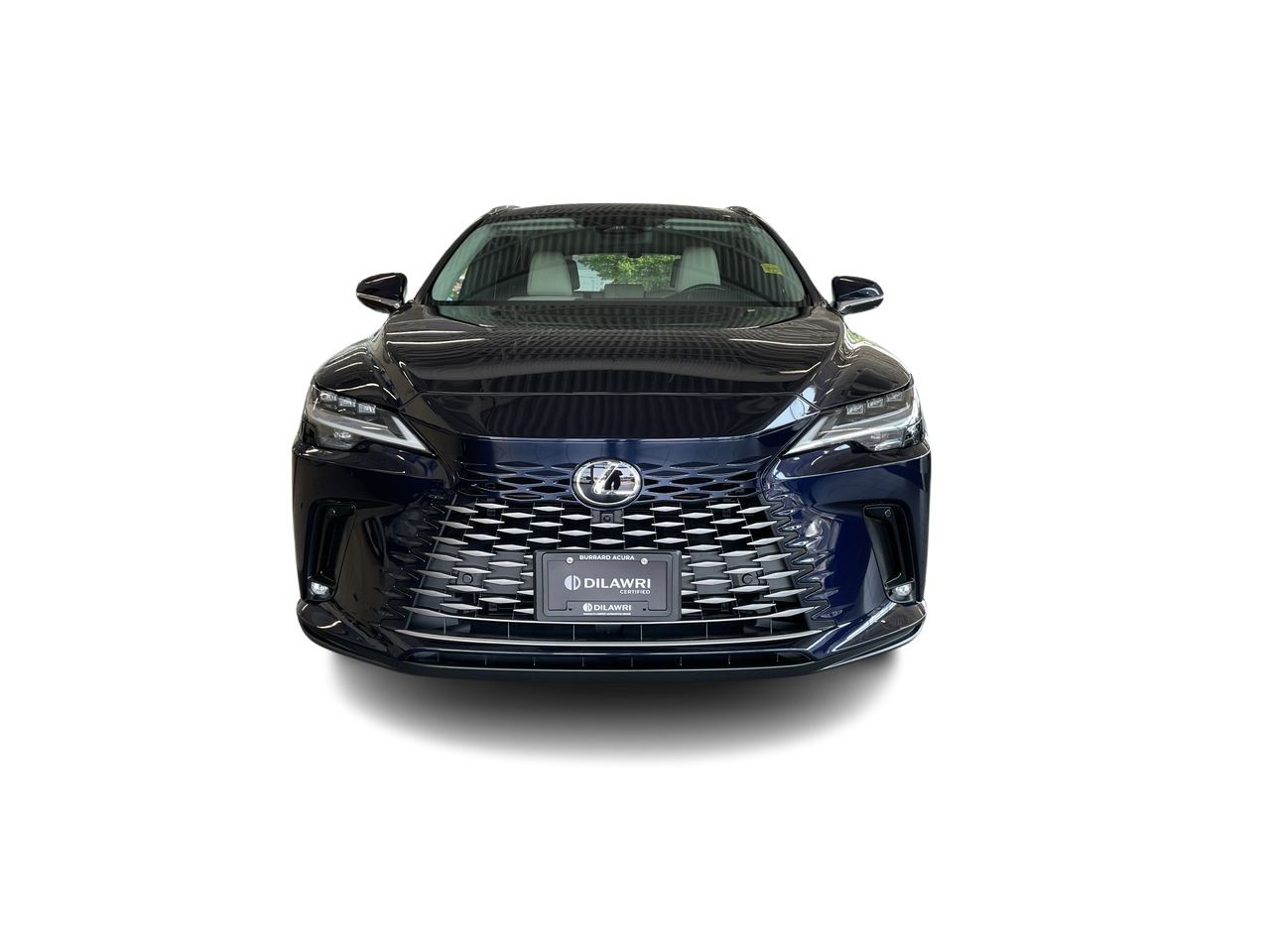 2024  RX