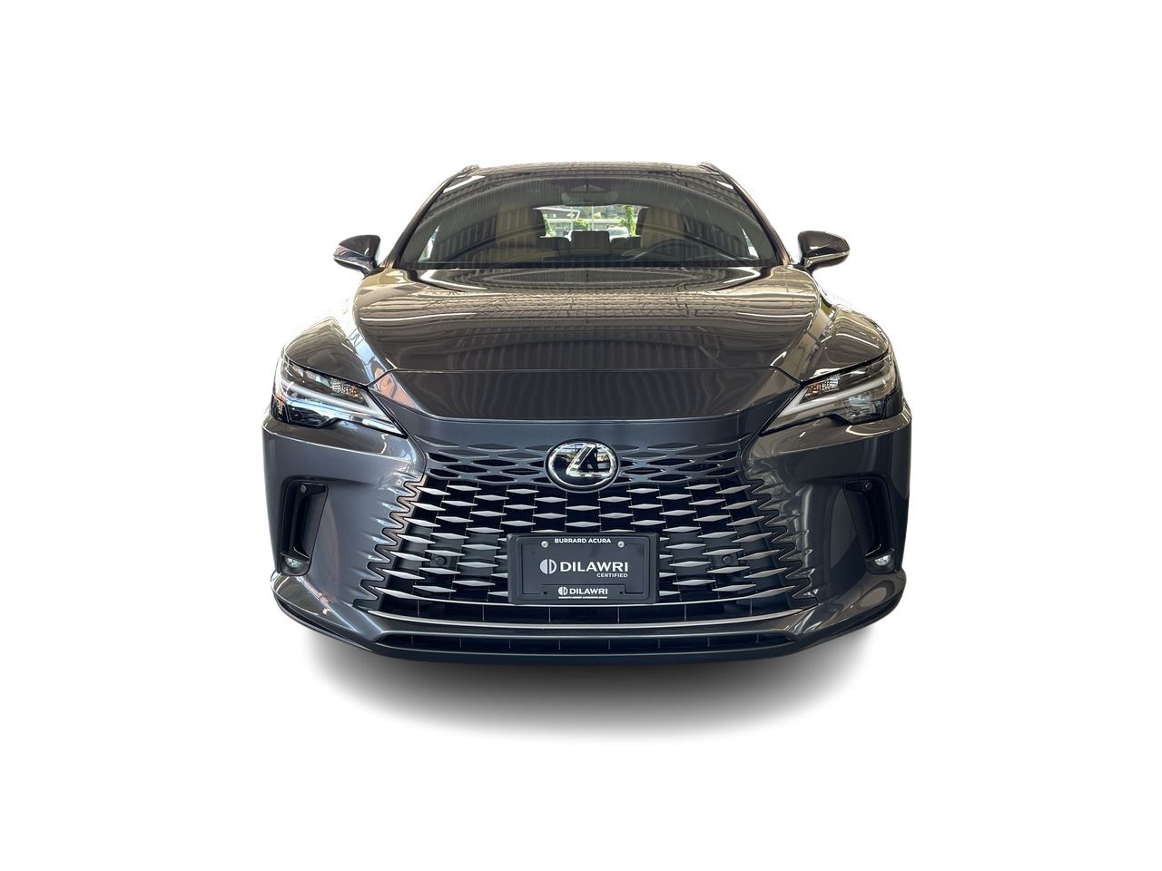 2025 Lexus RX