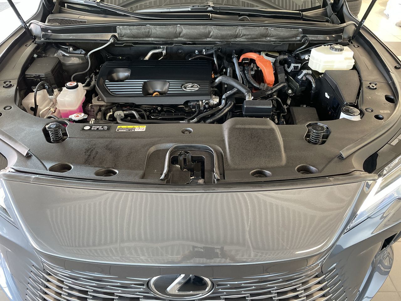 2025 Lexus RX