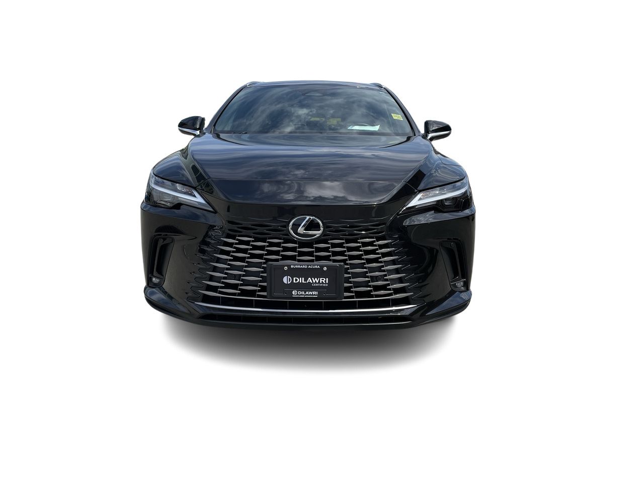 2025 Lexus RX